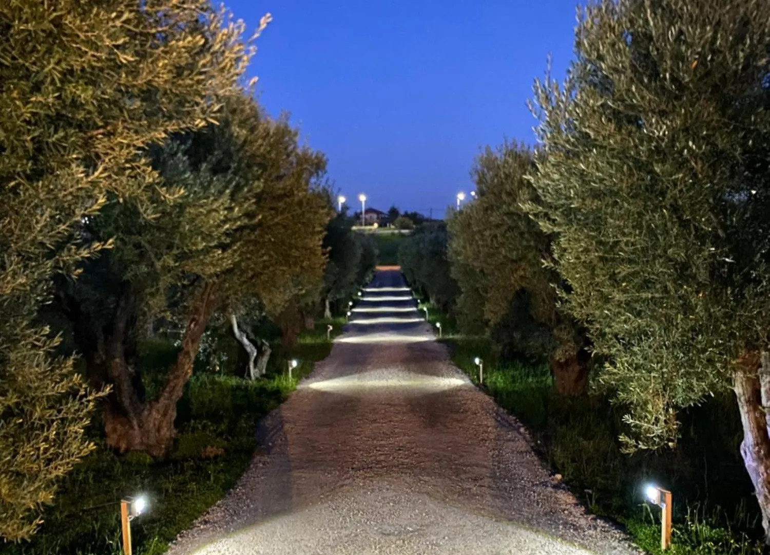 נאה פוטידאה Villa Olymp יוון